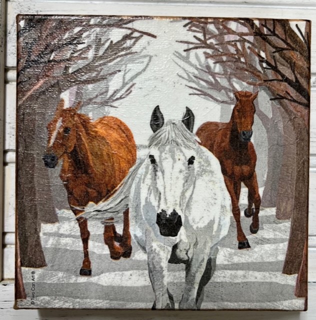 Horse Trio Chunky Canvas 1
