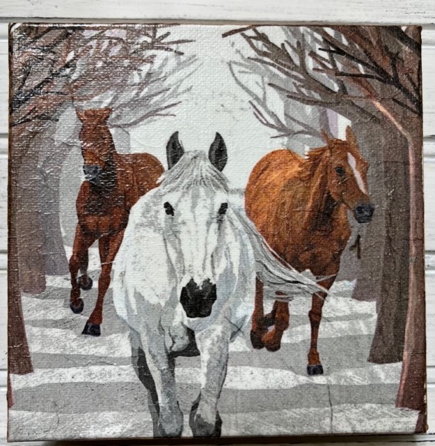 Horse Trio Chunky Canvas 2