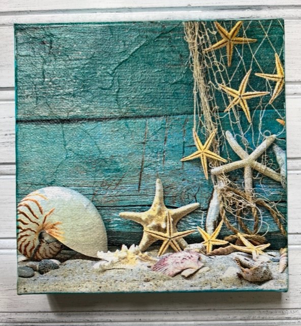 Seashell Chunky Canvas